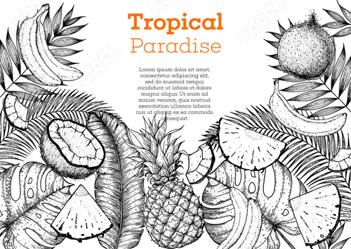 Pineapples, banana, coconut and tropical leaves design template. Hand drawn vector tropical fruit illustration. Engraved style fruit banner. Vintage botanical frame.