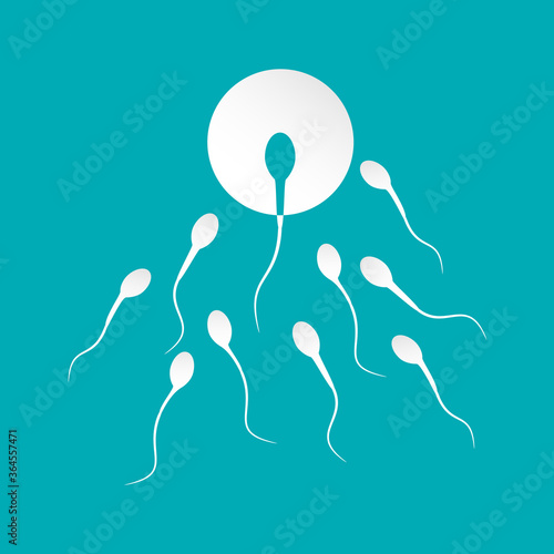Human sperm cell and male fertility