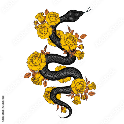 Snake and roses illustration. Vector illustration. Hand drawn illustration for t-shirt print, fabric and other uses