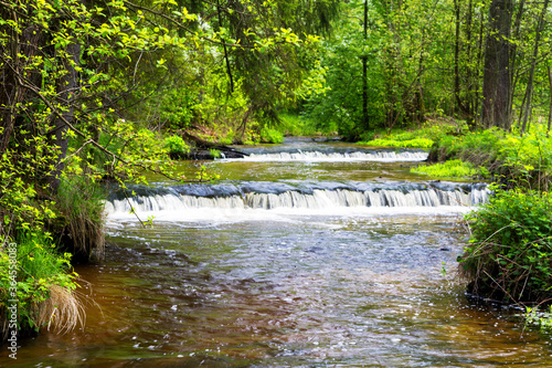 Szumy na Tanwi (Cascades on Tanew River) Roztocze (Roztochia), Roztoczanski Park  Narodowy (Roztocze National Park), Poland photo