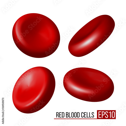 Red blood cells. Set of erythrocytes in various positions isolated on a white background.