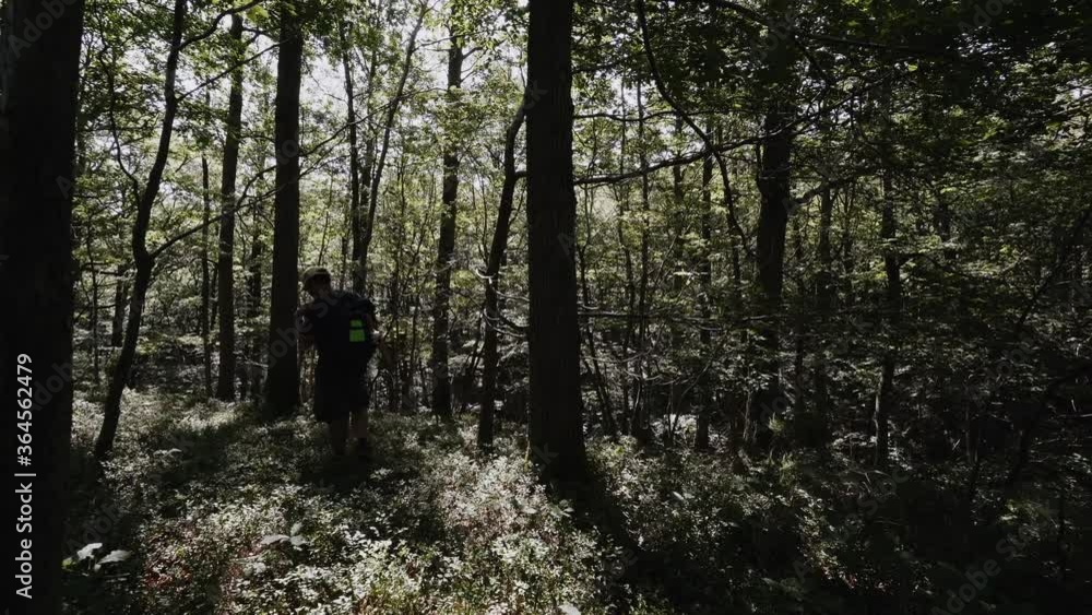 A man walking through a forest with a rucksack A man walking through a forest with a rucksack