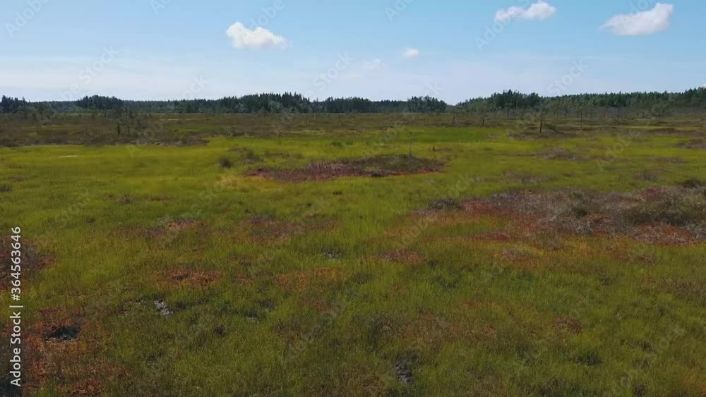 Open bogs and wetland in the Valkmusa National Park, Finland. Many endangered plants and animal species can be found here Open bogs and wetland in the Valkmusa National Park, Finland. Many endangered plants and animal species can be found here