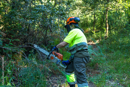 galicia, spain july 10, 2020: forest woman working in the bush with chainsaw