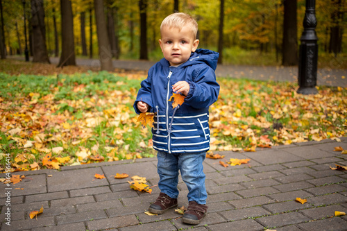 cute toddler kid is standing in the autumn park with yellow leaves in his hands and looking at the camera