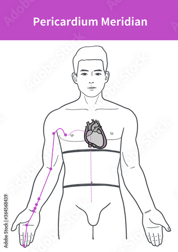 pericardium meridian illustration