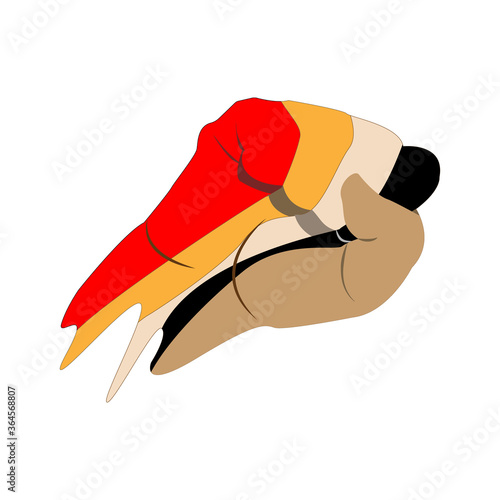 Clenched fist with fingers painted in the colors of the races. Vector image