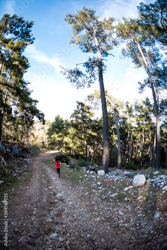 Wallpaper Mural A woman runs along a mountain trail. Torontodigital.ca