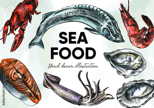 Colorful watercolor Hand-drawn sketch set of sea food. Set includes crabs, shrimp, lobster, crayfish, krill, lobster or spiny lobster, mussels, oysters, scallops