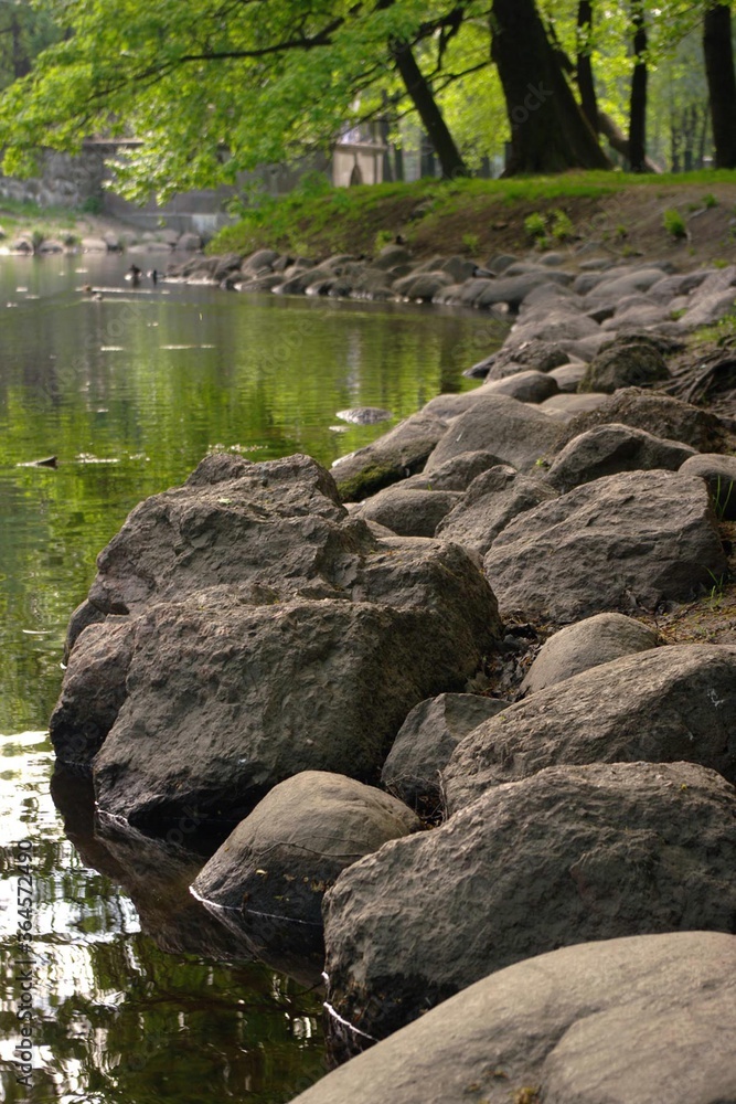 landscape of the lake coastline, with large stones in the foreground and tree trunks with soft green crowns in the distance, vertical format