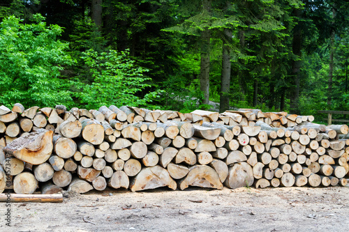 Fototapeta Naklejka Na Ścianę i Meble -  Stack of firewood in mountains waiting for winter. Pieniny mountains, Poland
