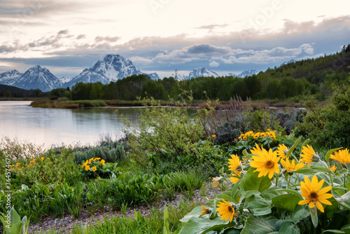 Grand Teton National Park scenery along Oxbow Bend on a partially cloudy day in early June