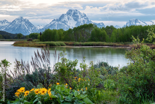Grand Teton National Park scenery on a partially cloudy day in early June © Allen.G
