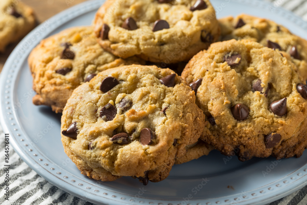 Homemade Warm Chocolate Chip Cookies