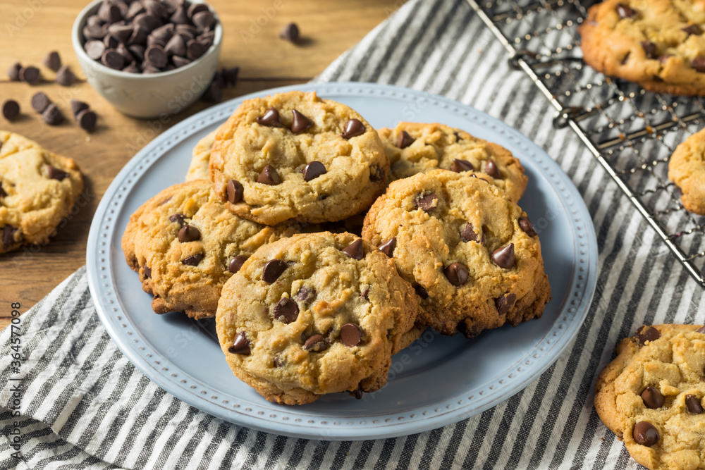 Homemade Warm Chocolate Chip Cookies Homemade Warm Chocolate Chip Cookies