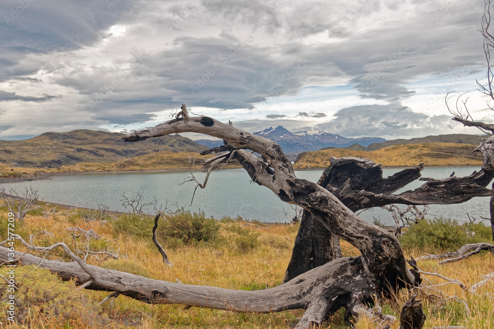 Fototapeta premium Chile – postcard views of Salto Grande