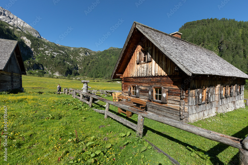 Alte Almhütte in der Steiermark, Österreich, Europa Alte Almhütte in der Steiermark, Österreich, Europa