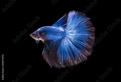Beautiful colors