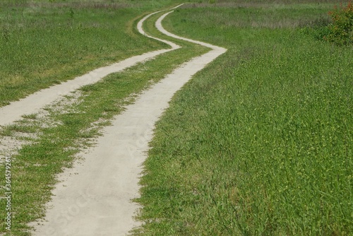 long sandy path among green grass and vegetation in the park