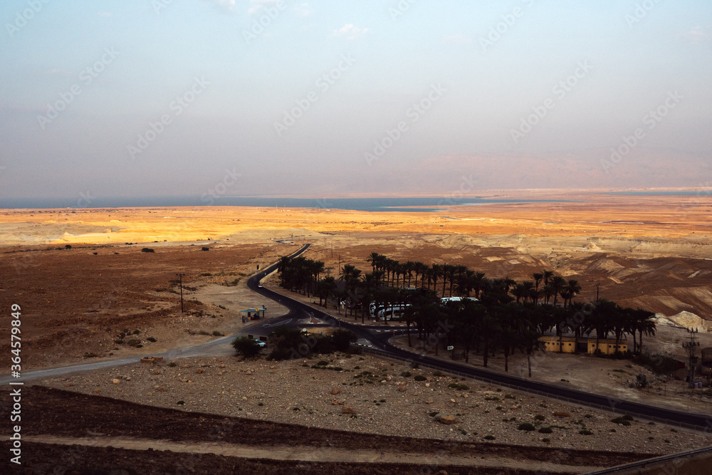 Parked buses with bunch of trees, Masada Israel. Parked buses with bunch of trees, Masada Israel.