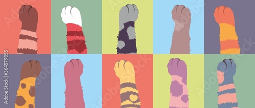 Paws of cats of different colors. 10 spotted, striped, one-color cat legs in rectangles. Shaggy woolen paws in the vector. Painting of modern art.