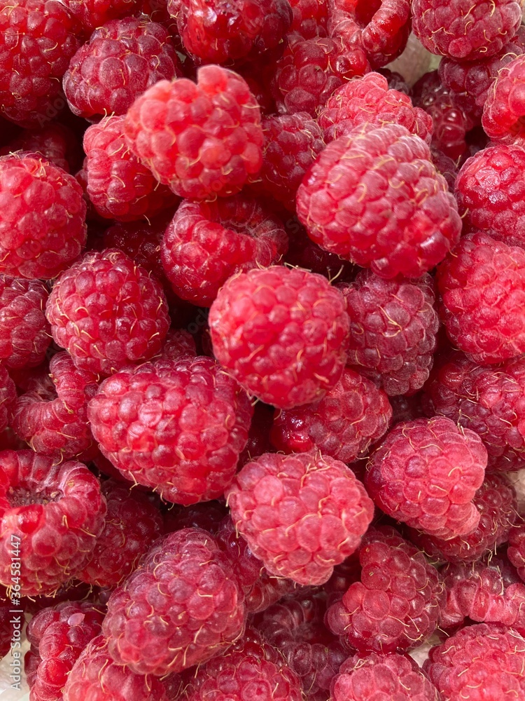 Freshly picked delicious raspberries from a farm in Michigan during the summer Freshly picked delicious raspberries from a farm in Michigan during the summer