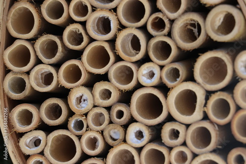 Bamboo Insect hotel close up 