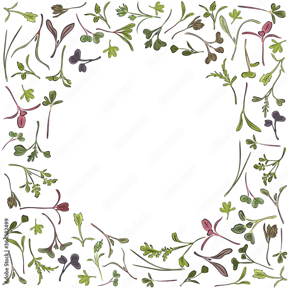 Vector round frame with microgreen. Herbs - carrots, chicory, purslane, radishes, beets, shungiku, cabbage, cabbage, alfalfa, green onions, Pak Choy, broccoli, mustard, lettuce on a white background.