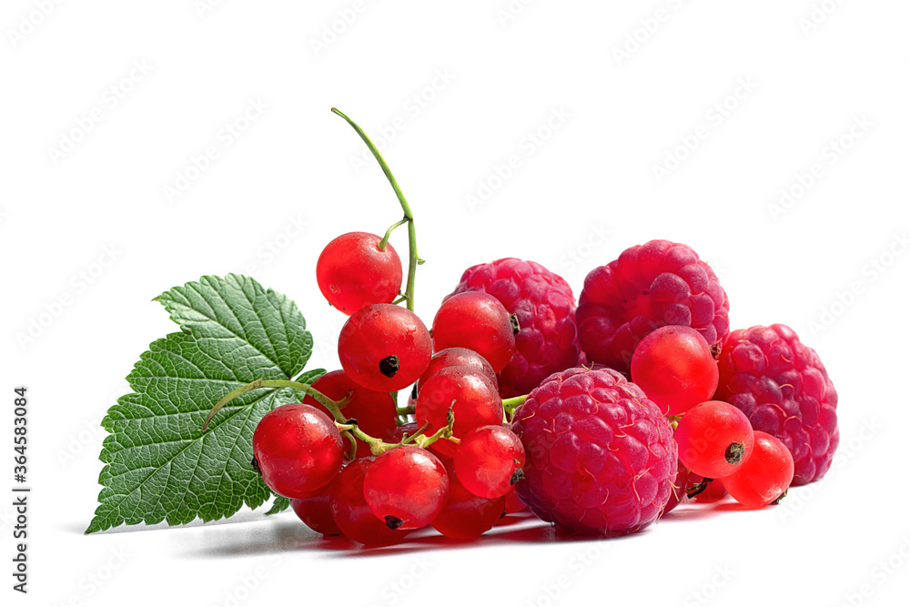 ripe and juicy red currant raspberry with green leaflet on a white background ripe and juicy red currant raspberry with green leaflet on a white background