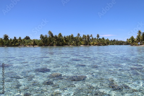 Lagon turquoise paradisiaque à Taha'a, Polynésie française photo