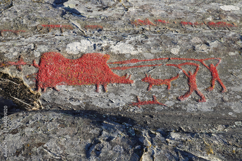 Rock carvings from the bronze age with a scene where two men with dogs and spears hunting a huge wild boar. One of the dogs is dead. The carvings are located i Norrkoping, Swede photo