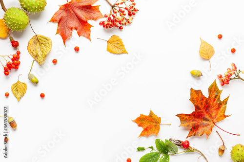 Autumn composition made of leaves, berries on white background. Autumn concept for Thanksgiving day or for other holidays. Flat lay, copy space.