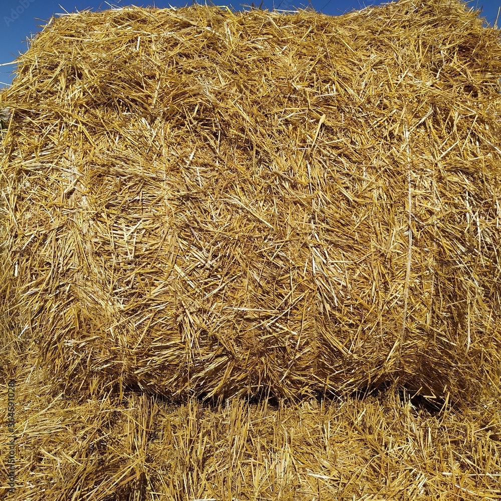 bales of straw bales of straw