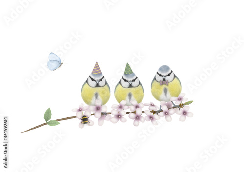 Photography cute hand drawn illustration of three blue tits with birthday party hat and bow