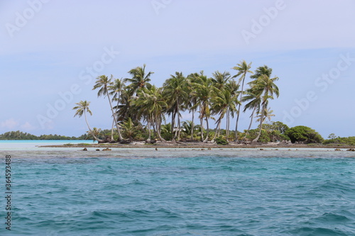 Ile du lagon de Rangiroa, Polynésie française