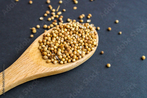 wooden spoon with coriander seeds, dry herbs
