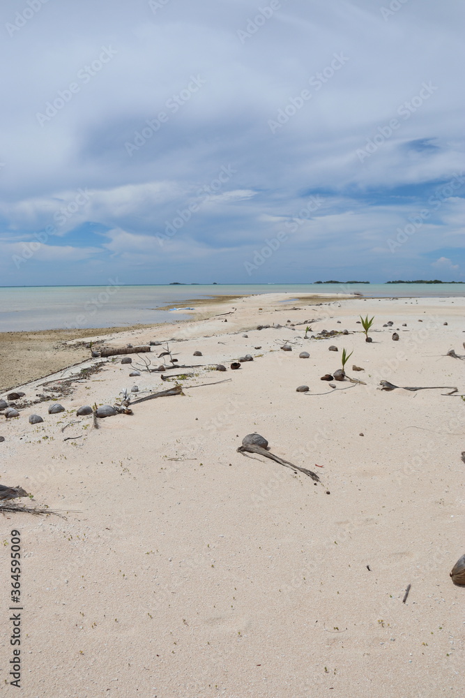 Plage de sable rose à Rangiroa, Polynésie française Plage de sable rose à Rangiroa, Polynésie française