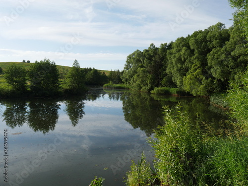 lake in the forest