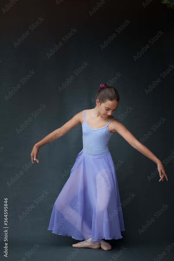 Naklejka premium Ballerina posing in plie