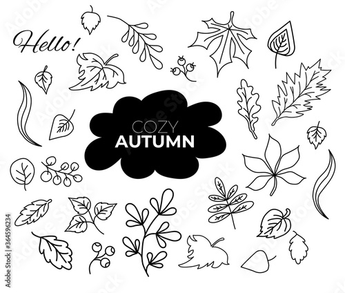 Vector set of autumn outline drawings. Doodle of various leaves and berries and text. Set of elements for the fall season. Use for autumn design and decoration.
