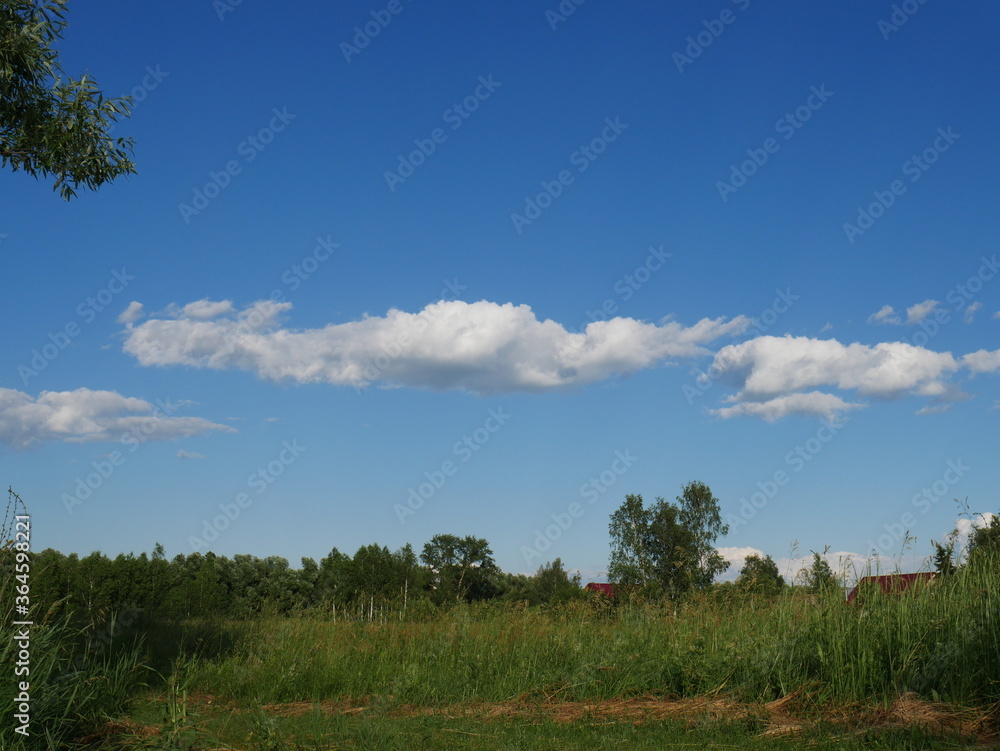 blue sky and white clouds and a tree top