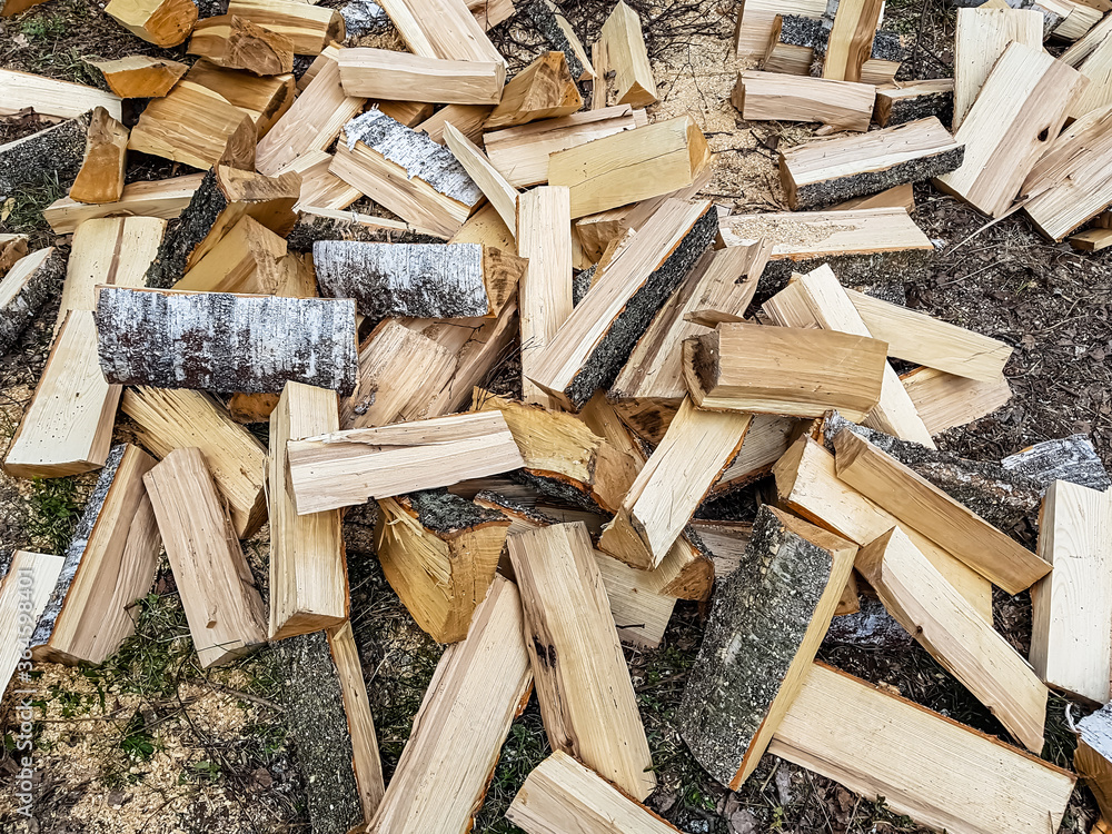 Birch wood is lying in the forest and waiting to be burned in the stove. Birch wood is lying in the forest and waiting to be burned in the stove.