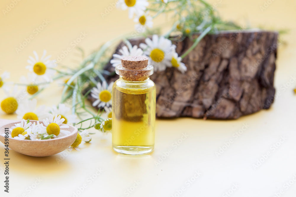 Tincture or essence of chamomile flowers. Natural cosmetic. Mini bottle with liquid on a background of daisies Tincture or essence of chamomile flowers. Natural cosmetic. Mini bottle with liquid on a background of daisies