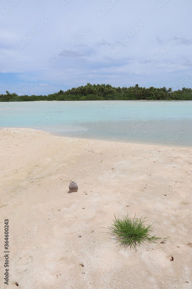 Plage de sable rose à Rangiroa, Polynésie française Plage de sable rose à Rangiroa, Polynésie française
