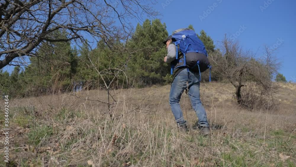 man traveler with backpack walking in the forest rises to a hill mountain. Tourism Traveling Healthy Lifestyle Active Concept. man lifestyle tourist hiker with a large hiking backpack climbs a hill in man traveler with backpack walking in the forest rises to a hill mountain. Tourism Traveling Healthy Lifestyle Active Concept. man lifestyle tourist hiker with a large hiking backpack climbs a hill in