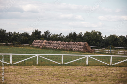 Obraz na płótnie rural landscape with barn w salonie
