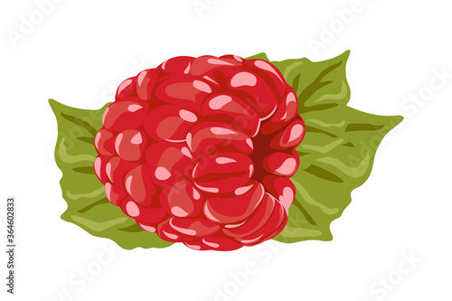 Raspberry Vector Illustration. Red Berry Drawing. Background design for sweets and pastries filled with raspberry, dessert menu, health care products, natural cosmetics. Collection berries with leaves