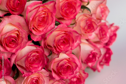 bouquet of pink roses  close-up