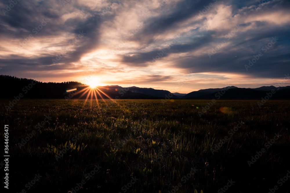 sunset over the field