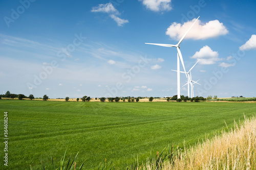 wind turbine in the field